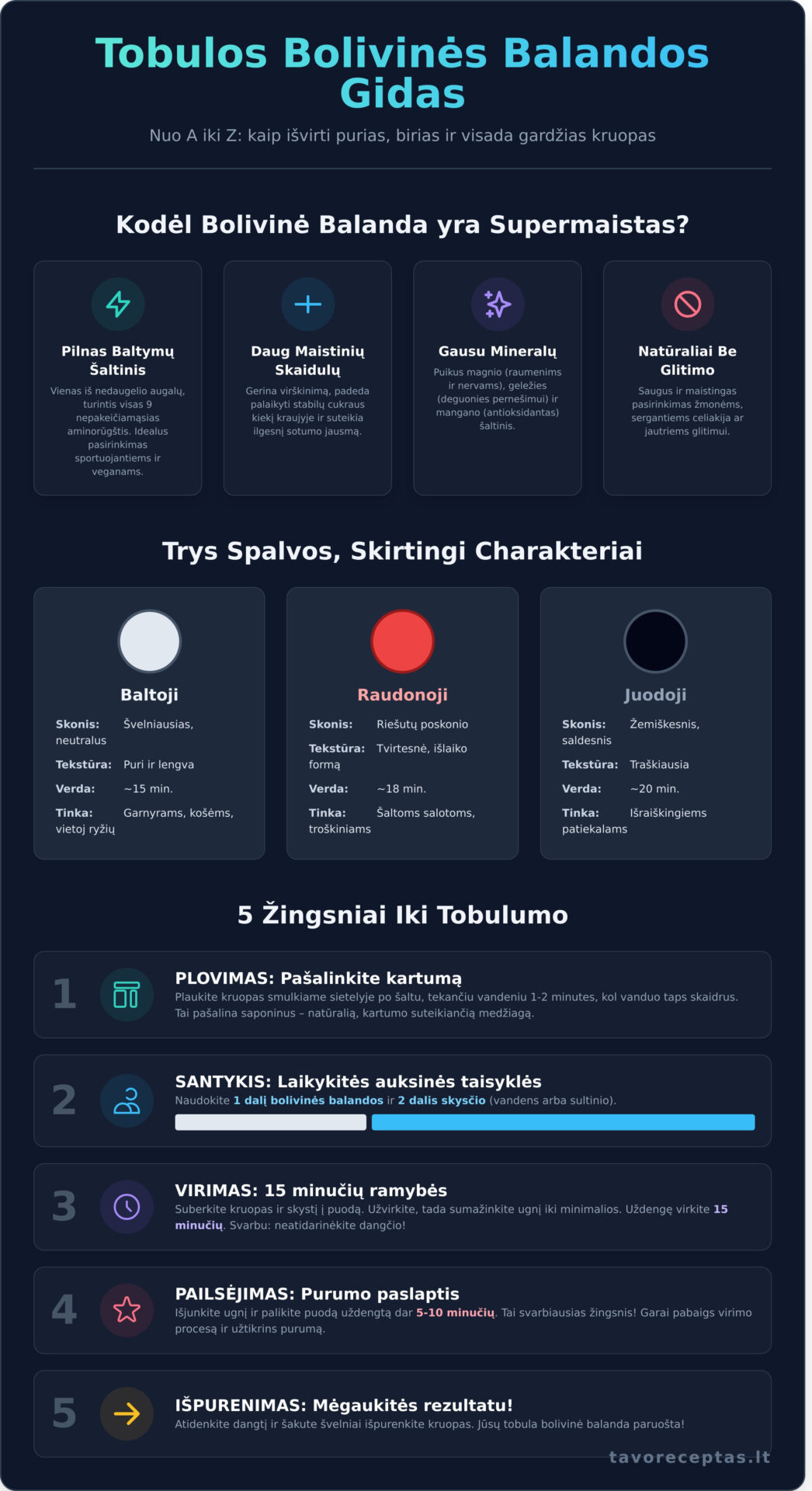 BolivinÄ— balanda: Viskas, kÄ… reikia Å¾inoti apie paruoÅ¡imÄ…, naudÄ… ir idÄ—jas - Infographic