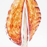 Dekoratyvinė stiklo skulptūra, 12×7×32.5 cm - Image 2