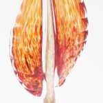 Dekoratyvinė stiklo skulptūra, 13×9×41 cm - Image 2
