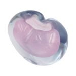Stiklinė širdelės formos dekoracija/vaza – 15×8.5×11 cm - Image 2