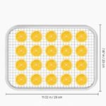 Vaisių ir maisto džiovyklė 400 W, 8 padėklų, nerūdijančio plieno - Image 3