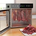 Vaisių ir maisto džiovyklė 600 W, 10 padėklų, nerūdijančio plieno - Image 2